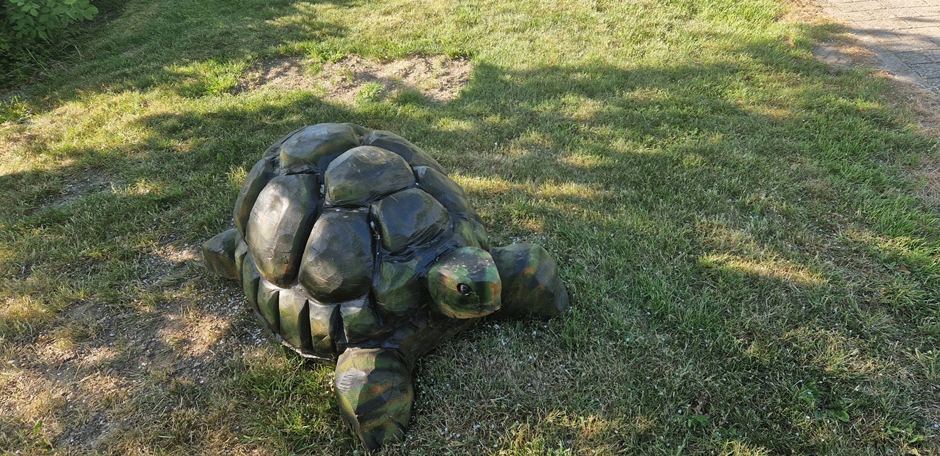 Træskulptur, der forestiller en skildpadde