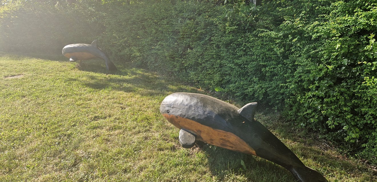 Træskulpturer, der forestiller marsvin