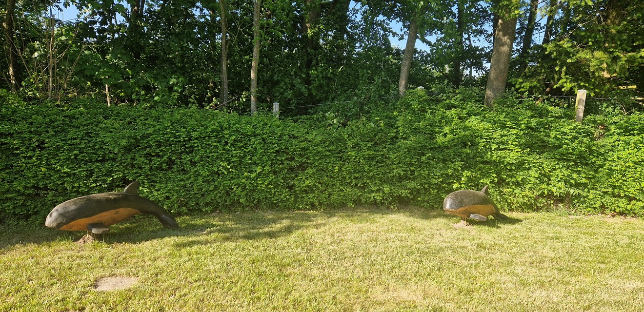 Træskulpturer, der forestiller marsvin