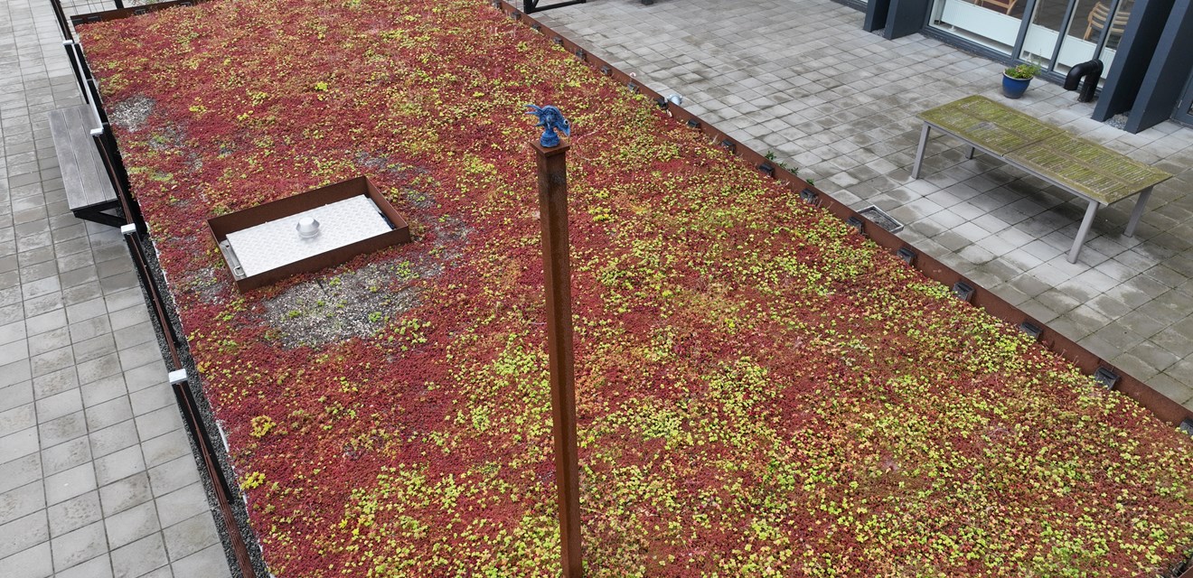 Bronzefigur set skråt fra oven.